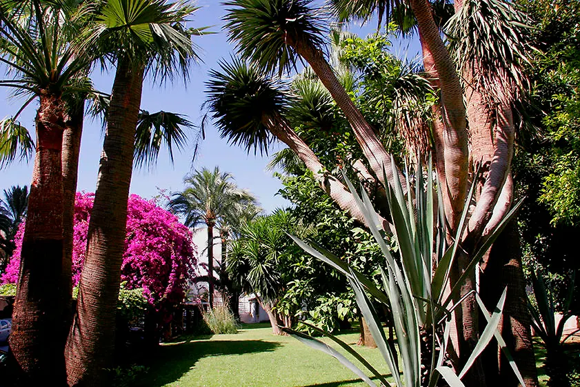 Hotel Apartamentos Bajondillo Torremolinos 4*,